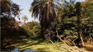 Abuko National Park the Gambia