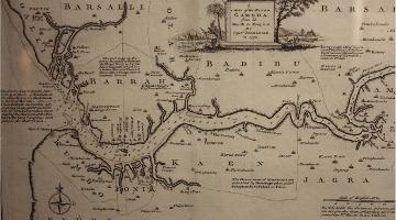 Discover the roots of Gambia