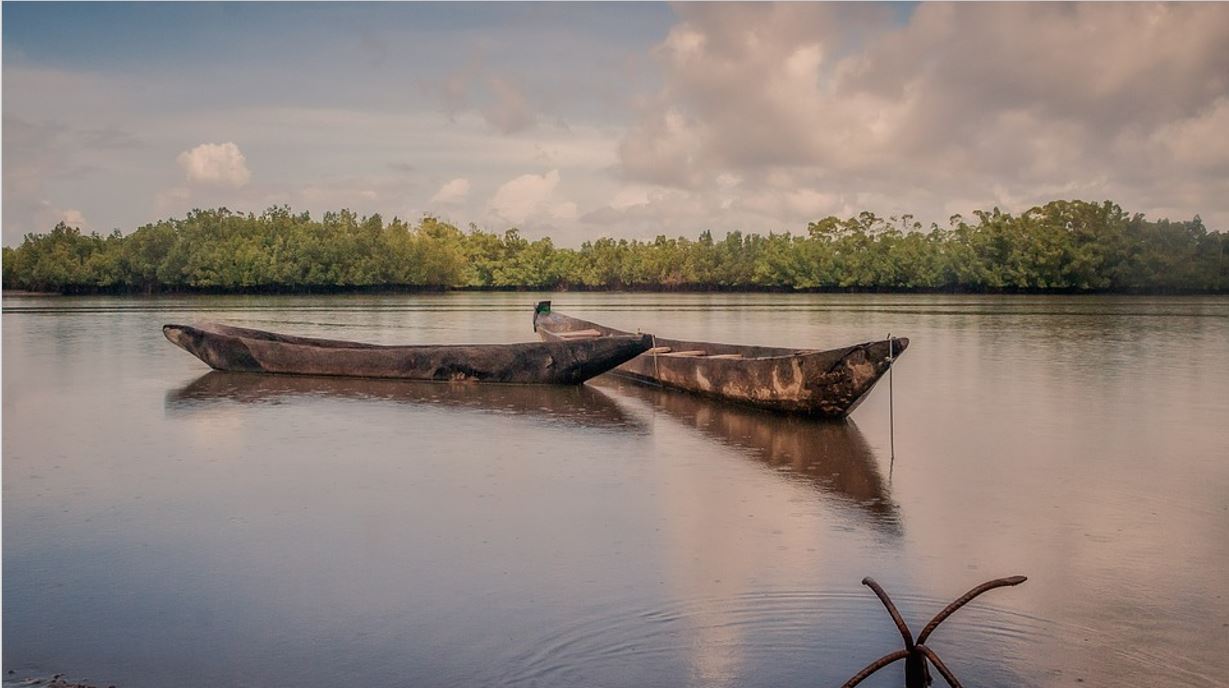 Gambia River 